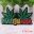 Marijuana Leaf Embroidery Iron On Patches 9