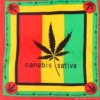 Green & Black Legalize Weed Bandanna Headscarf 2