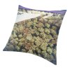 Dank Weed Zip Lock Bag Pillow Case 3