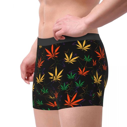 Rasta Cannabis Leaf Print Boxers 2