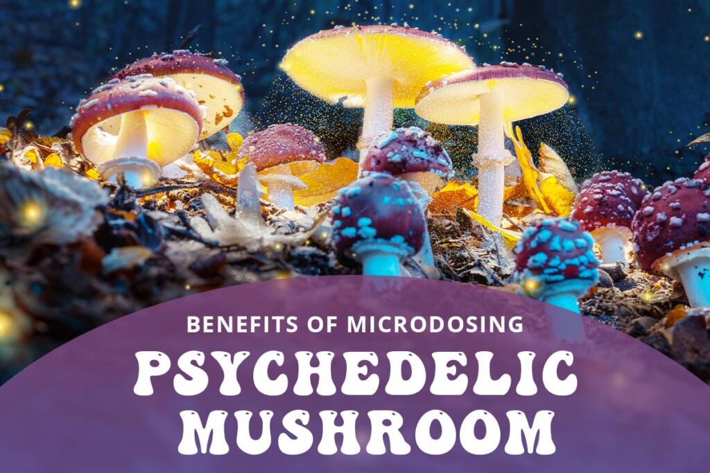 Benefits of Microdosing Psychedelic Mushroom - psilocybin, microdosing