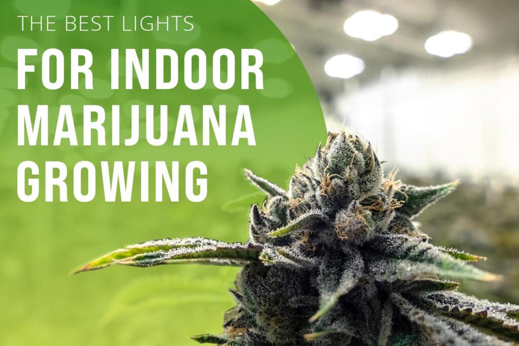 How To Choose The Best Lights For Indoor Marijuana Growing - growing-marijuana